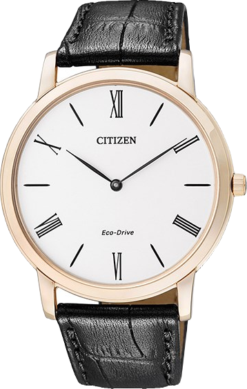 Đồng hồ Citizen AR1113.12B