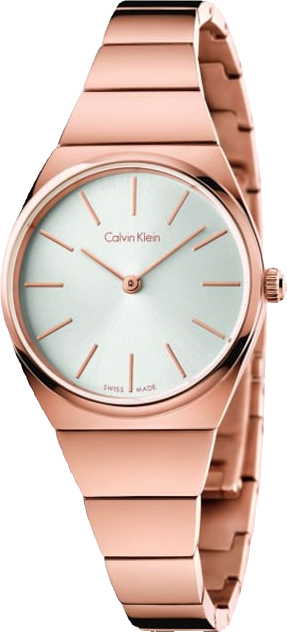 Đồng hồ Calvin Klein K6C23646